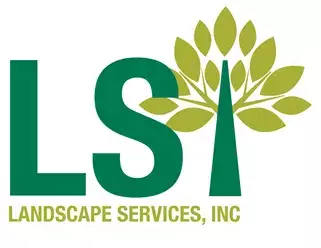 LSI